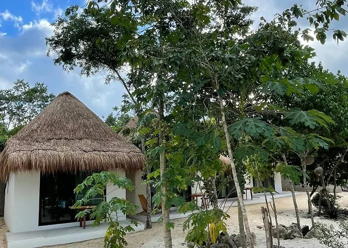 The Reserve 4*